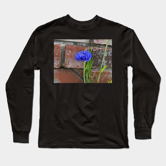 Cornflower and Brick Long Sleeve T-Shirt by AustaArt